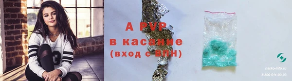 гашик Баксан